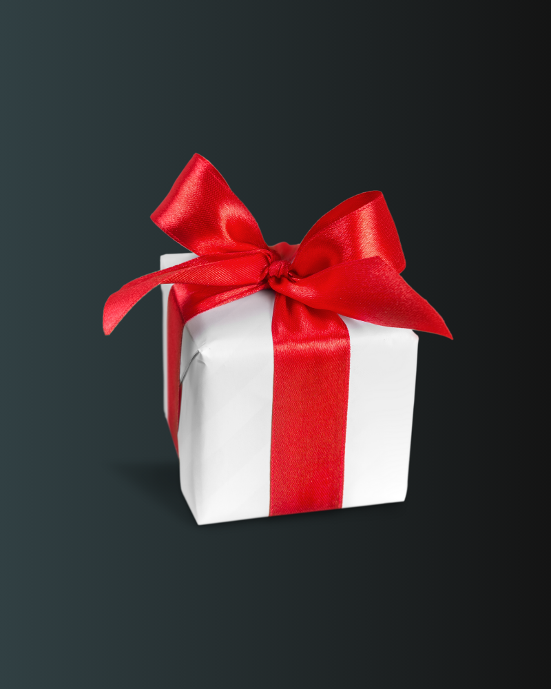 Idées Cadeaux à moins de 100$