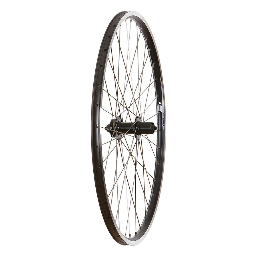 Wheel Shop - Evo Tour 19 Noir/ Formula DC-22 - Roue - Arrière - 700C / 622 - Trous: 36 - QR - 135mm - Jante et disque IS 6-boulons - Shimano HG - 210000002656