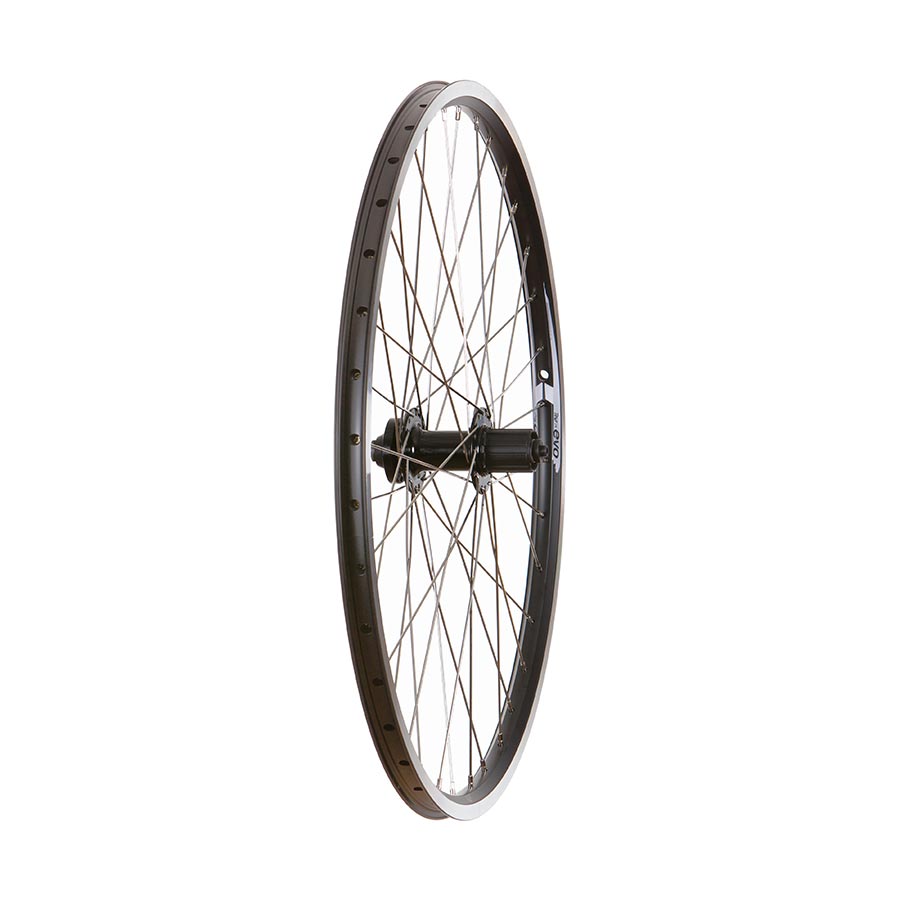Wheel Shop, Evo Tour 19 Black/ Formula FM-31, Wheel, Rear, 26'' / 559, Holes: 36, Bolt-on, 135mm, Rim, Freewheel